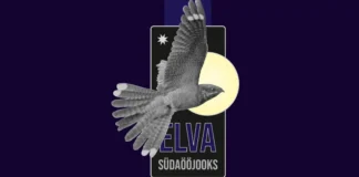 Elva Südaööjooks 2025