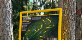 Tervisespordikeskuse discgolfirada pikenes
