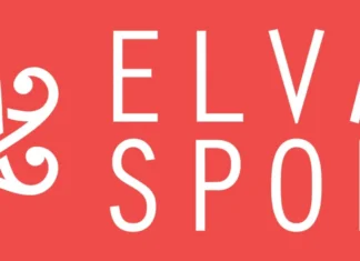 Elva sport 2025. aastal